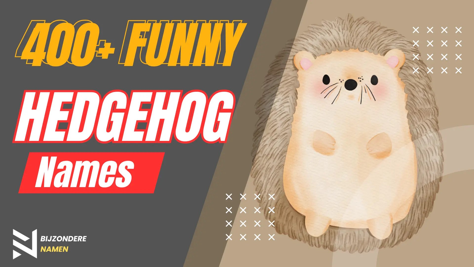 400+ Funny Hedgehog Names (Hilariously Cute) Names Crunch