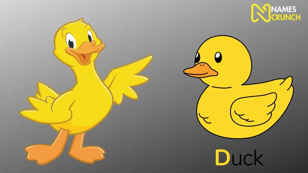 Funny Duck Names Ideas (Quacktastic Humor) Names Crunch