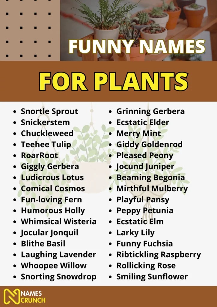 200+ Funny Names for Plants in 2024! Names Crunch