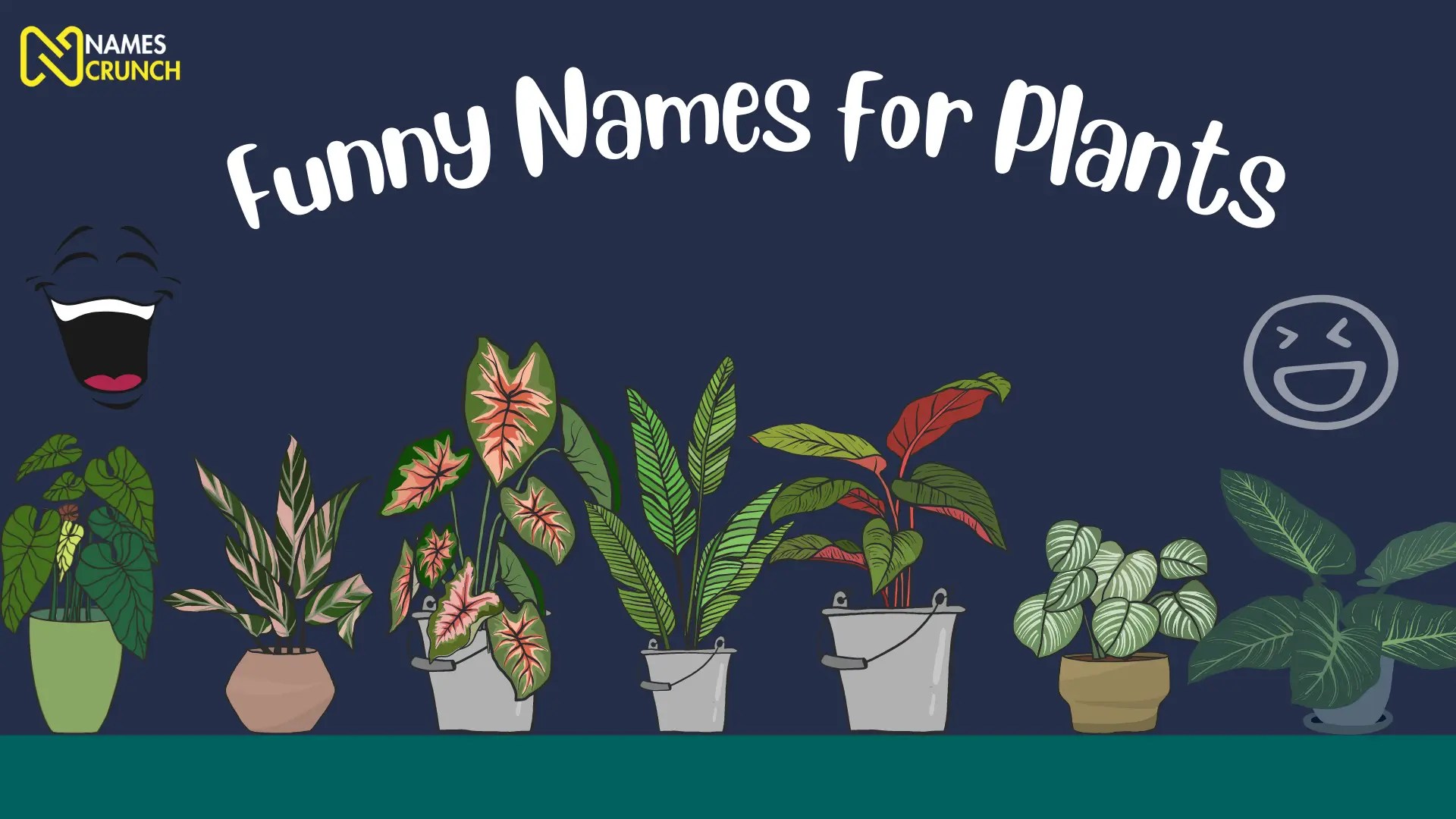 200+ Funny Names for Plants in 2024! Names Crunch