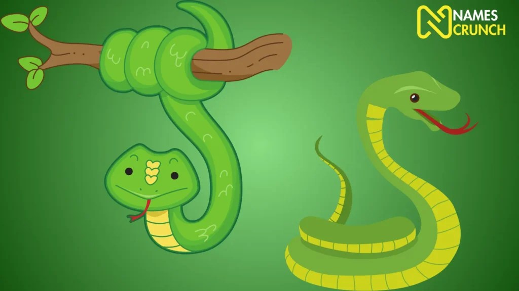 290+ Funny Name for Snakes Names Crunch