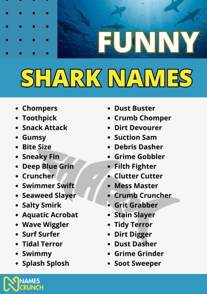 Funny Shark Names (Cute & Clever) Names Crunch