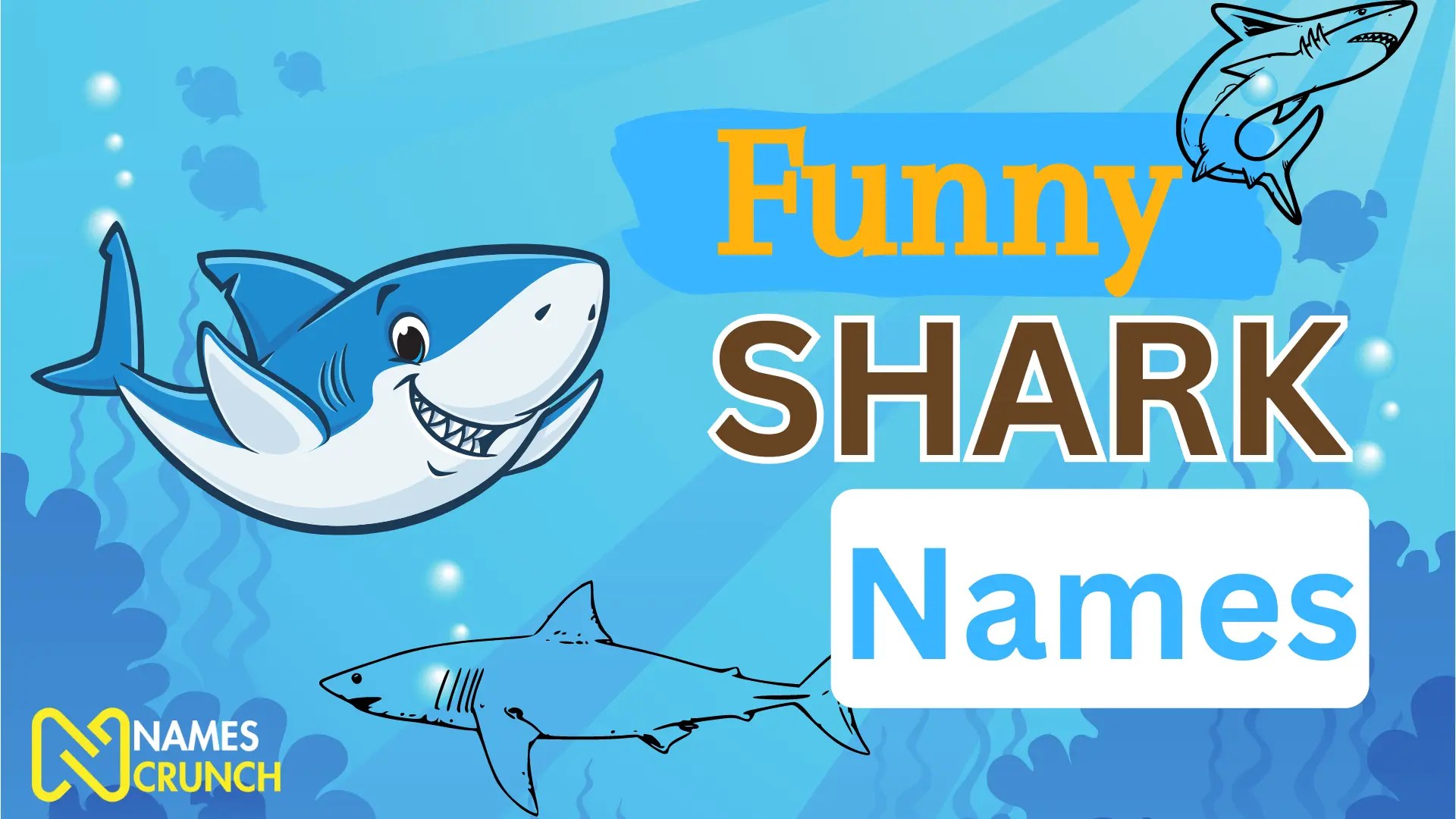 Funny Shark Names (Cute & Clever) Names Crunch