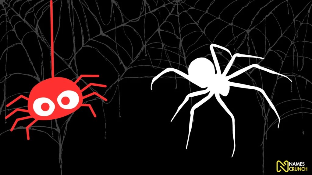 150+ Funny Spider Names Ideas Names Crunch