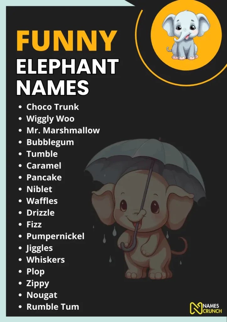 Funny Elephant Names A Trunkload of Laughter Names Crunch