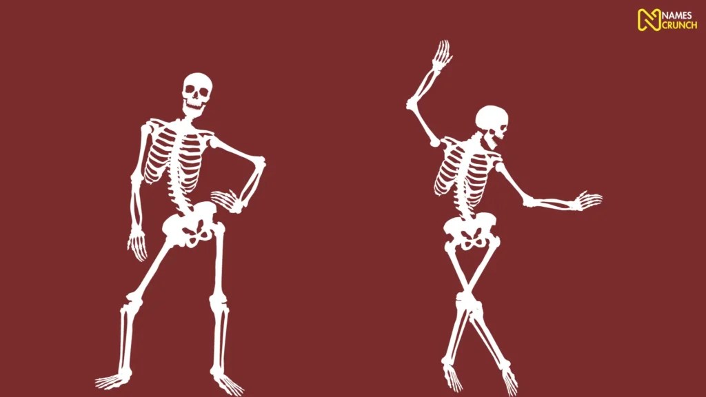 470+ Cool & Funny Skeleton Names Names Crunch