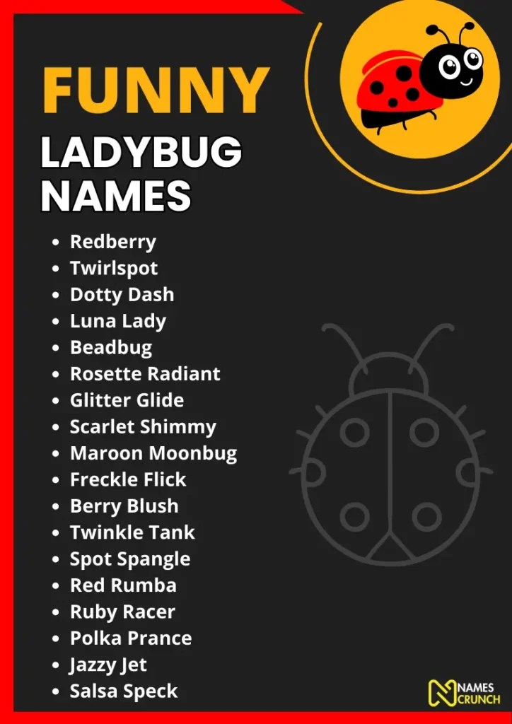 Funny Ladybug Names (Unique & Clever) Names Crunch