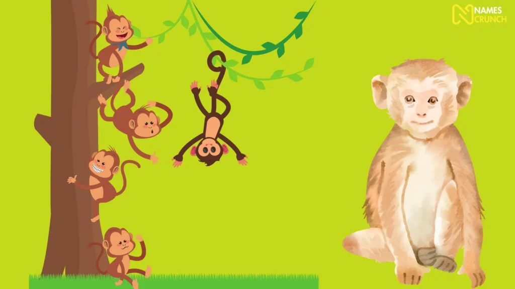 300+ Funny Monkey Names That Are Hilarious! Names Crunch