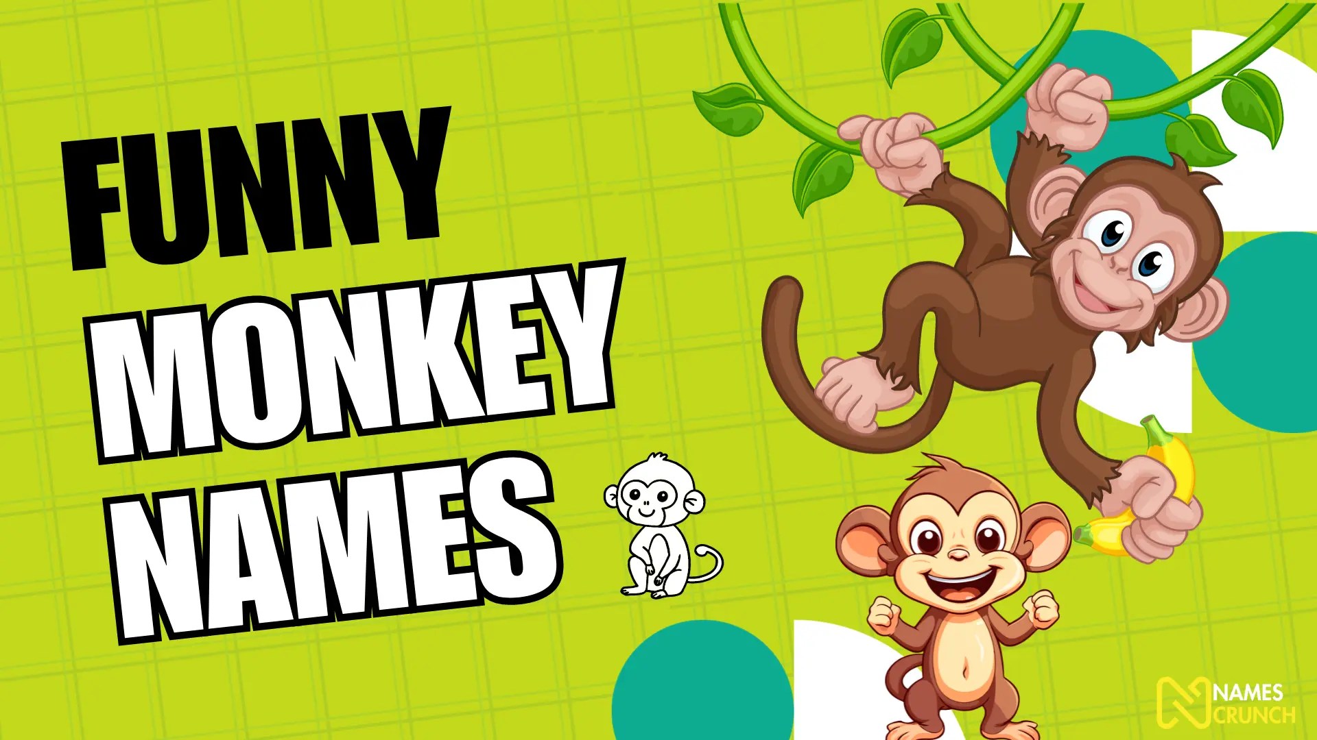 300+ Funny Monkey Names That Are Hilarious! Names Crunch