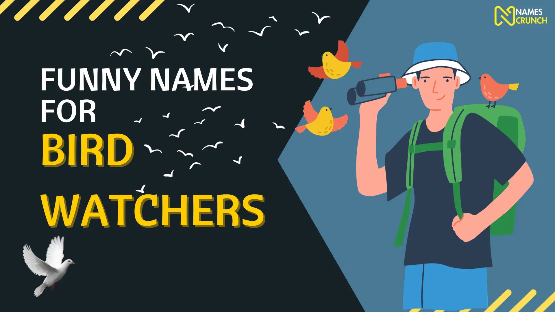 Funny Names for Bird Watchers (Clever & Unique) Names Crunch