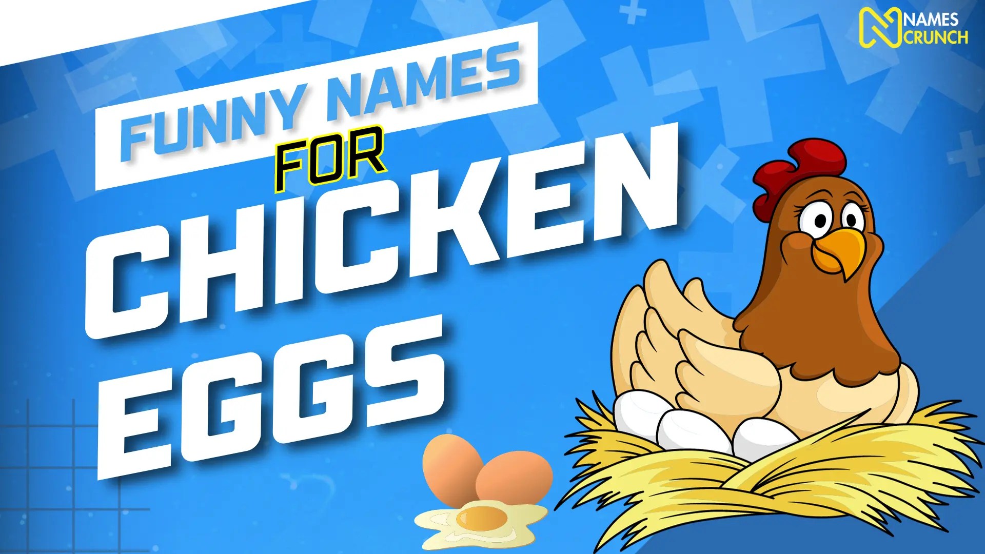 100+ Funny Names for Chicken Eggs Names Crunch