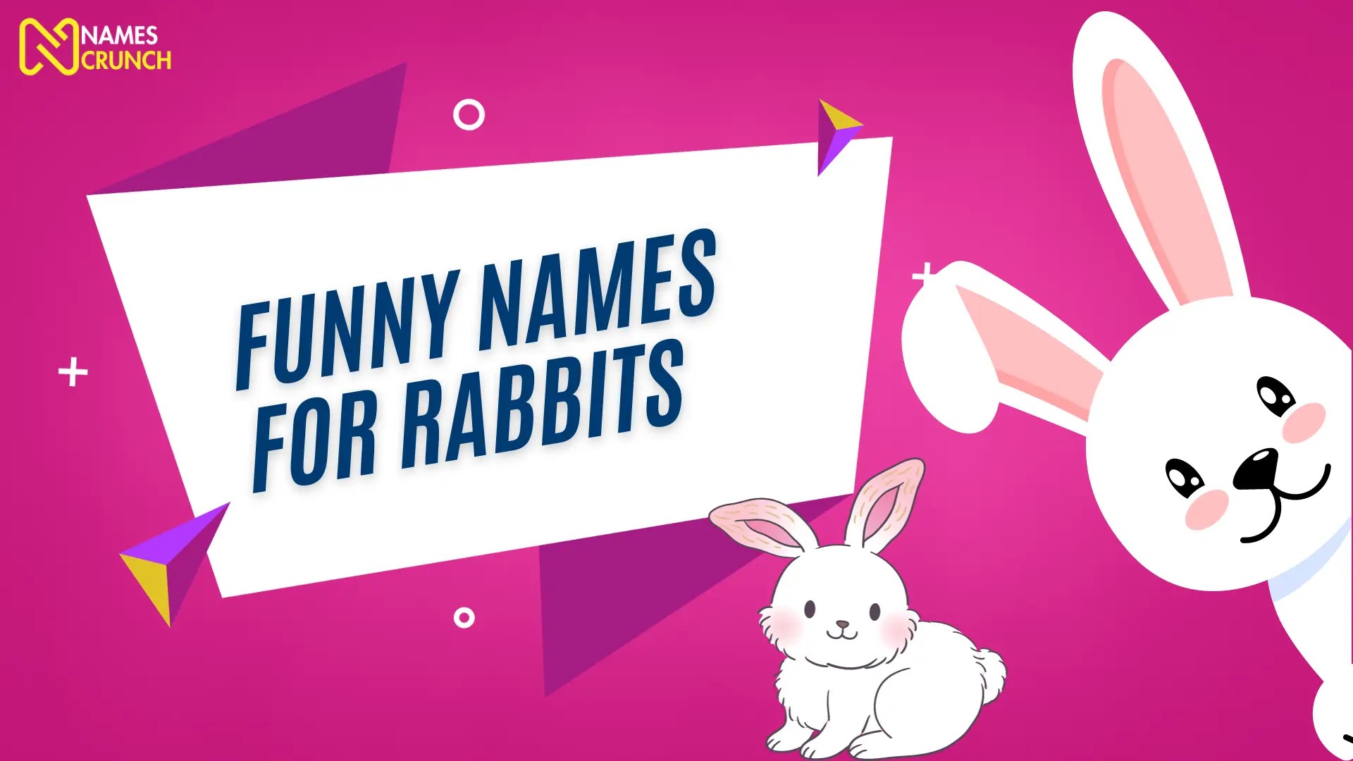 Funny Names for Rabbits (Clever & Unique) Names Crunch