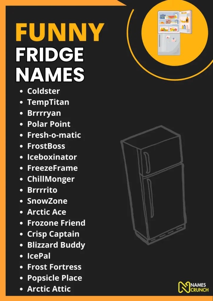 Funny Fridge Names [250+ Creative Ideas] Names Crunch