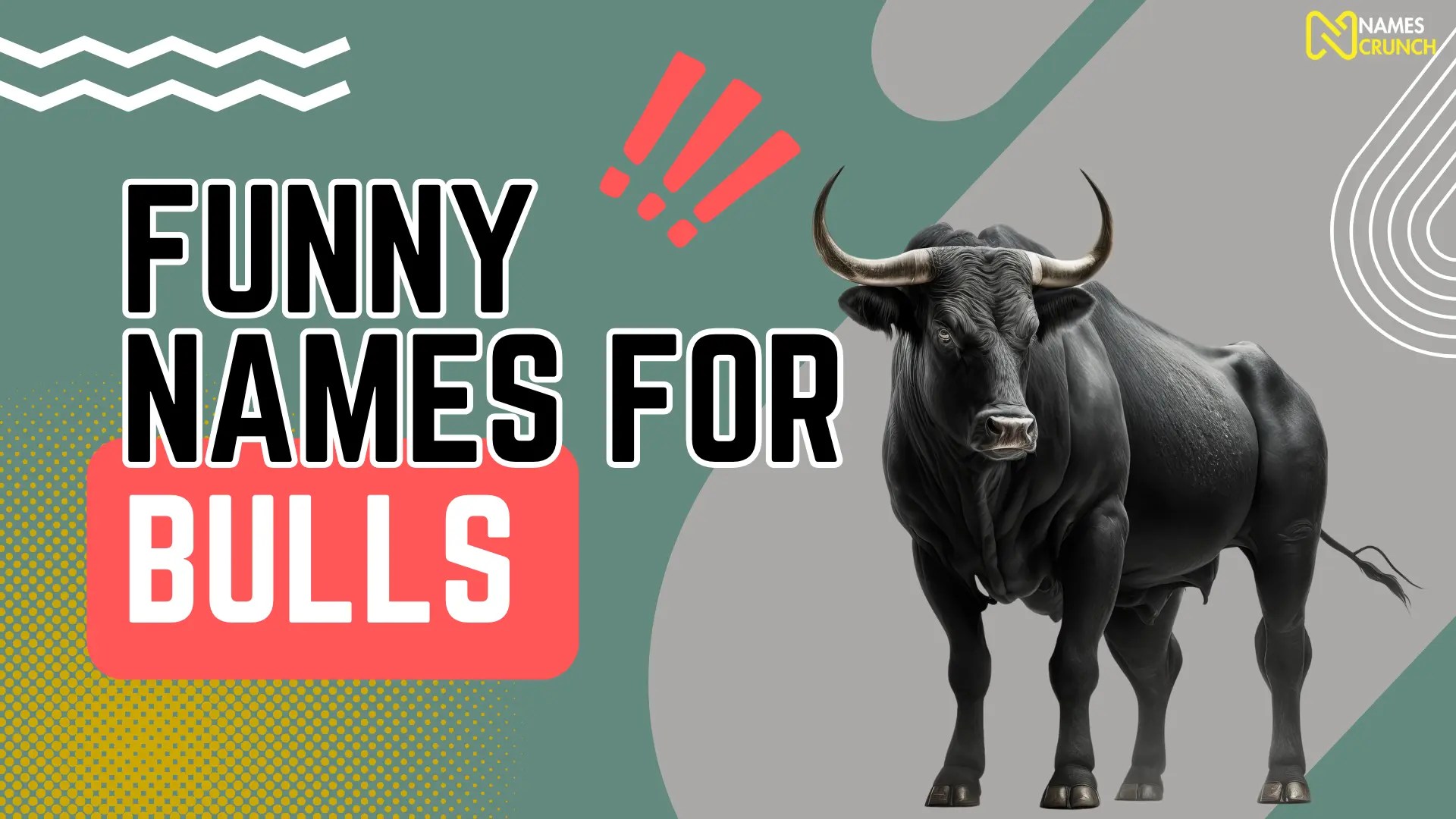 425+ Bull Names [Funny, Strong & Spanish] Names Crunch