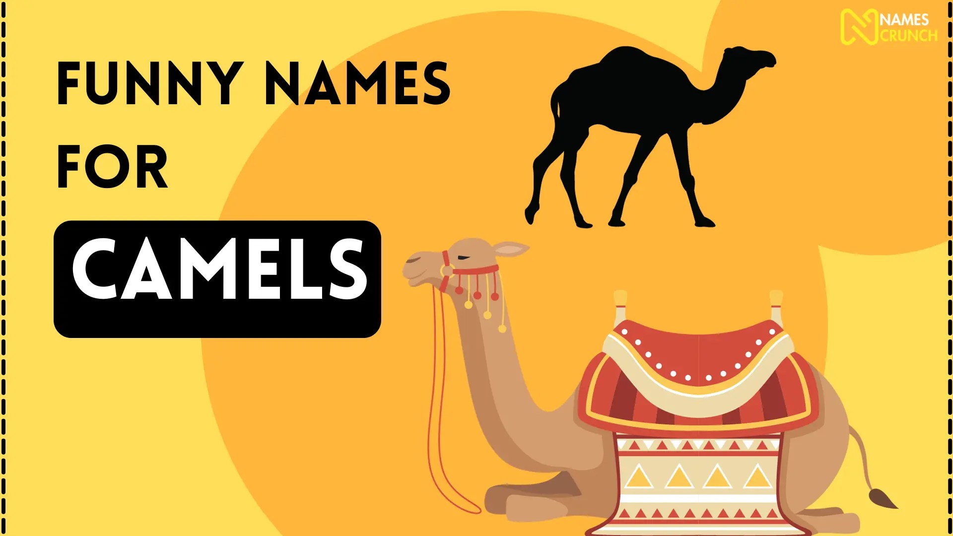 Funny Names for Camels (250+ Clever Ideas) Names Crunch