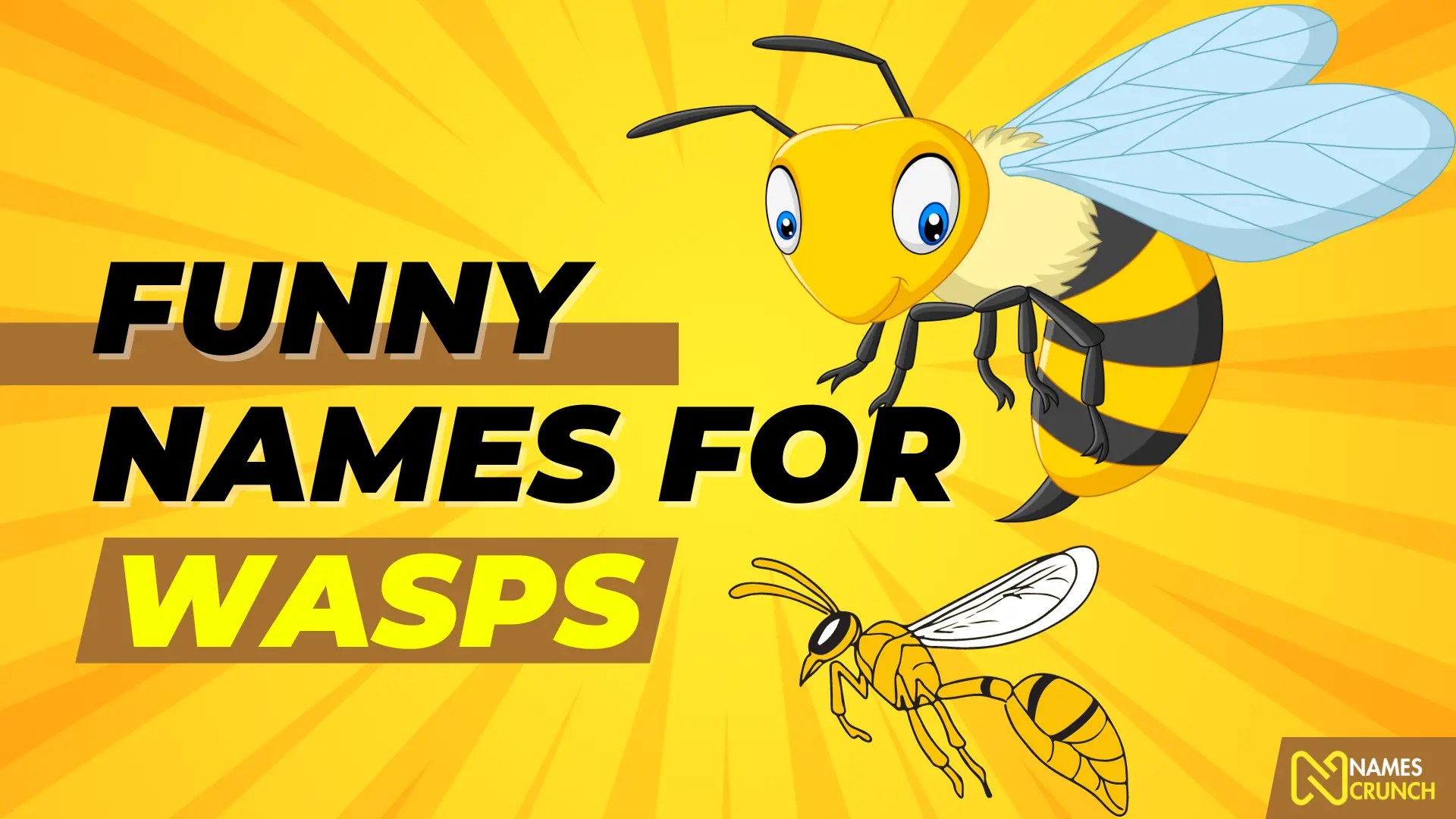 350+ Wasp Names [Funny & Cute Ideas] Names Crunch