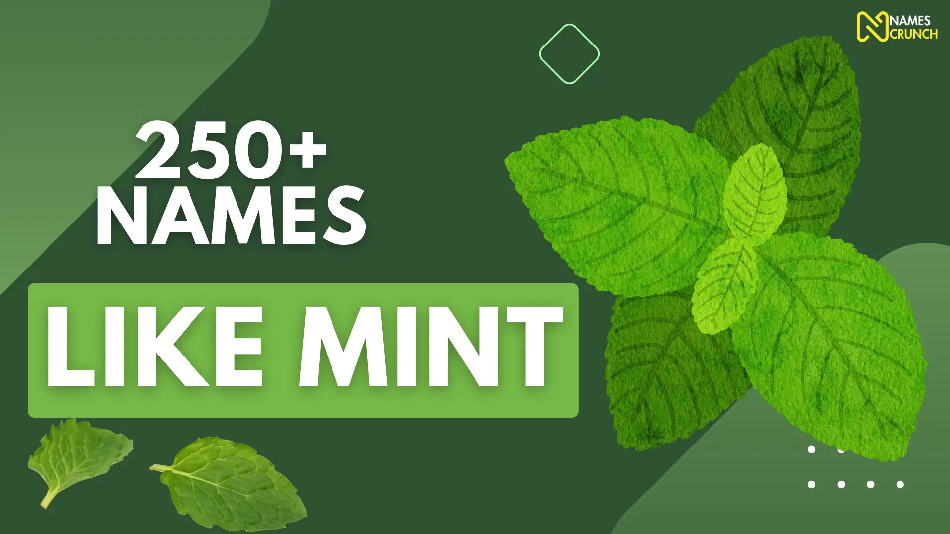 260+ Names Like Mint [Creative Ideas] Names Crunch