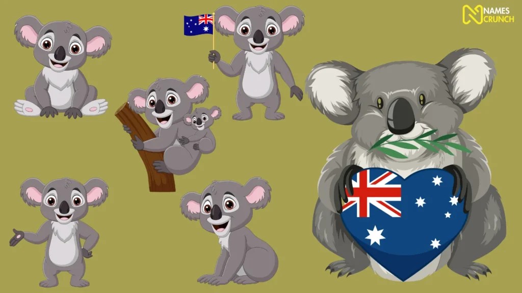 320+ Funny Koala Names [Clever Ideas] Names Crunch