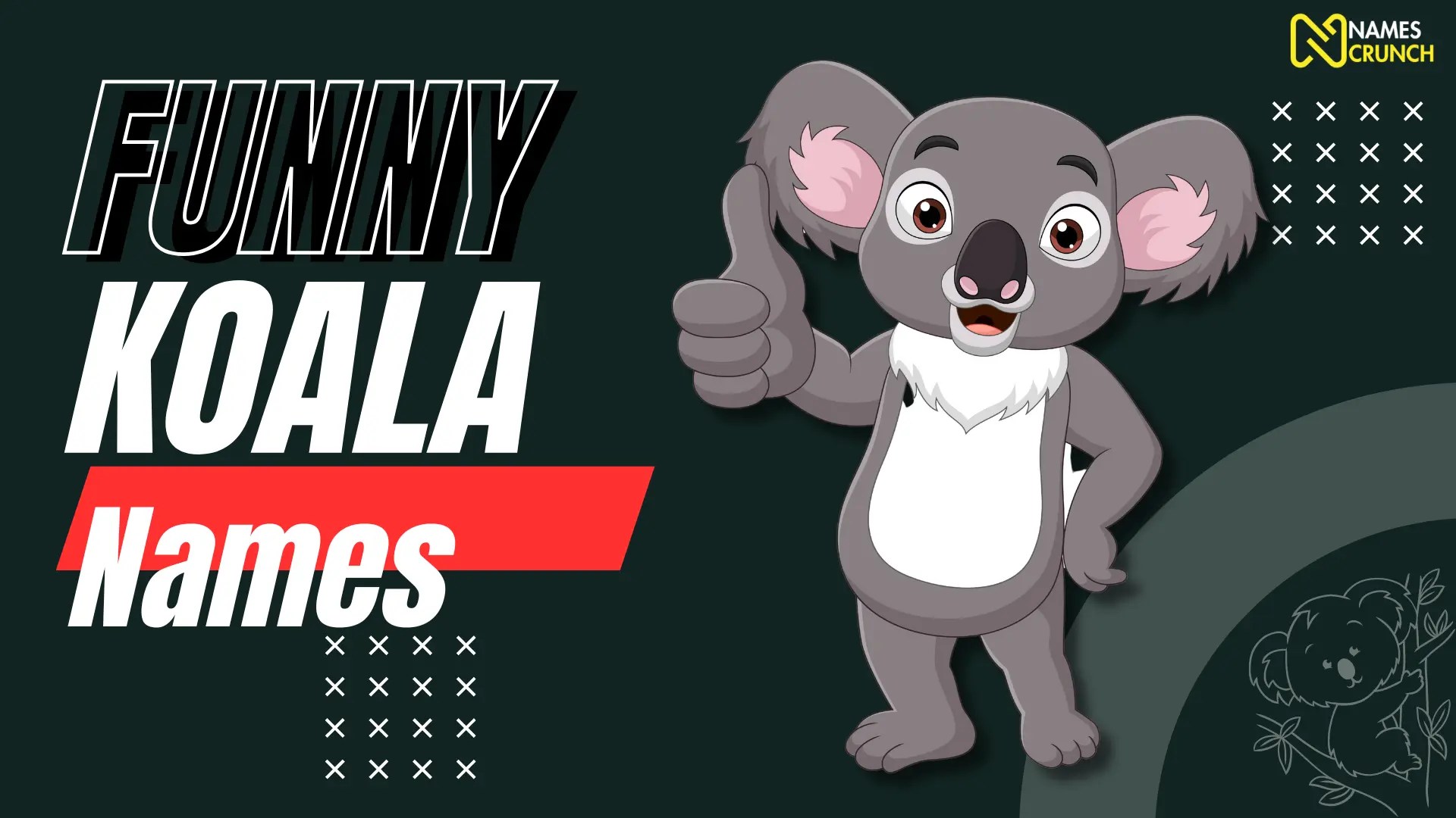 320+ Funny Koala Names [Clever Ideas] Names Crunch