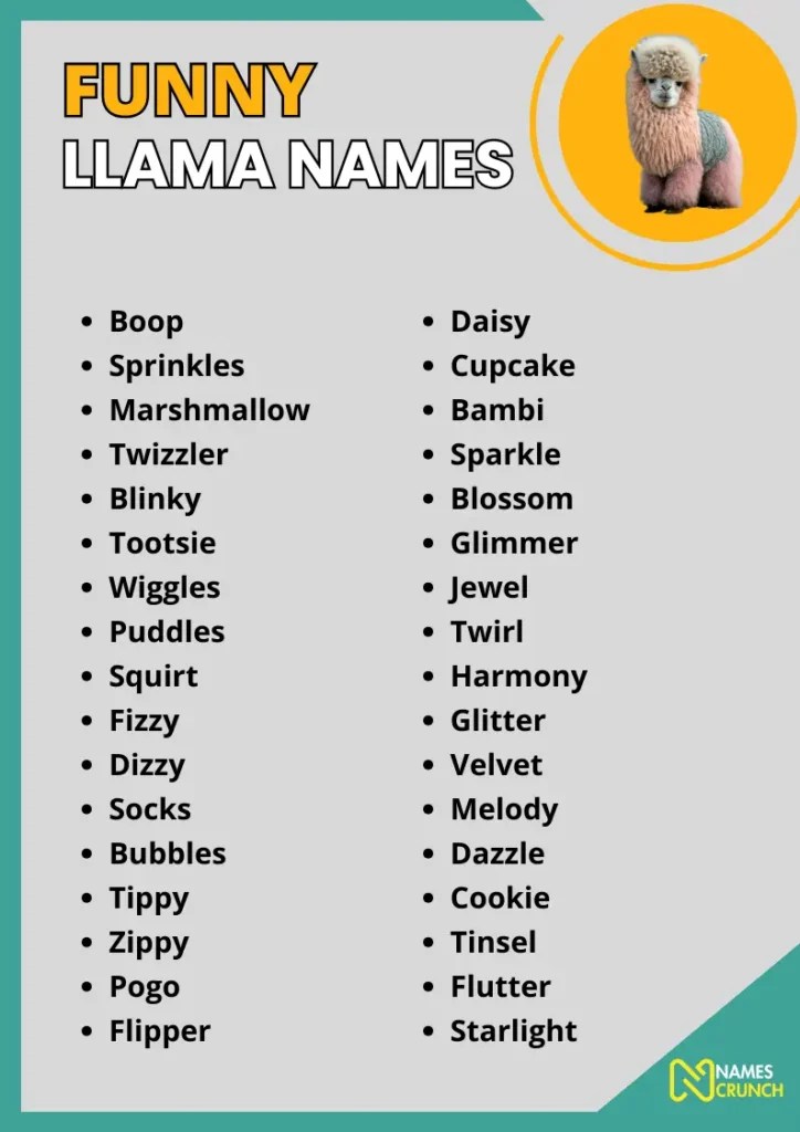 370+ Cute & Funny Llama Names Names Crunch