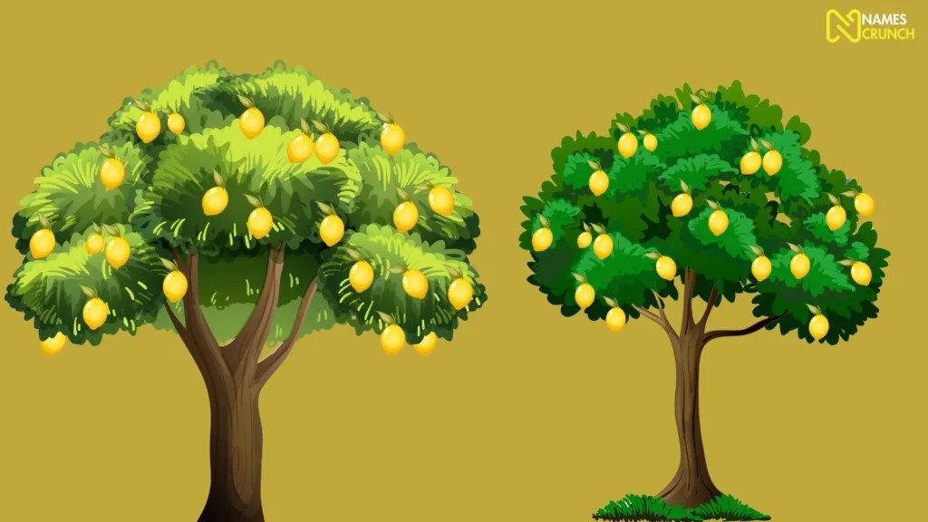 Funny Names for Trees [350+ Creative Ideas] Names Crunch