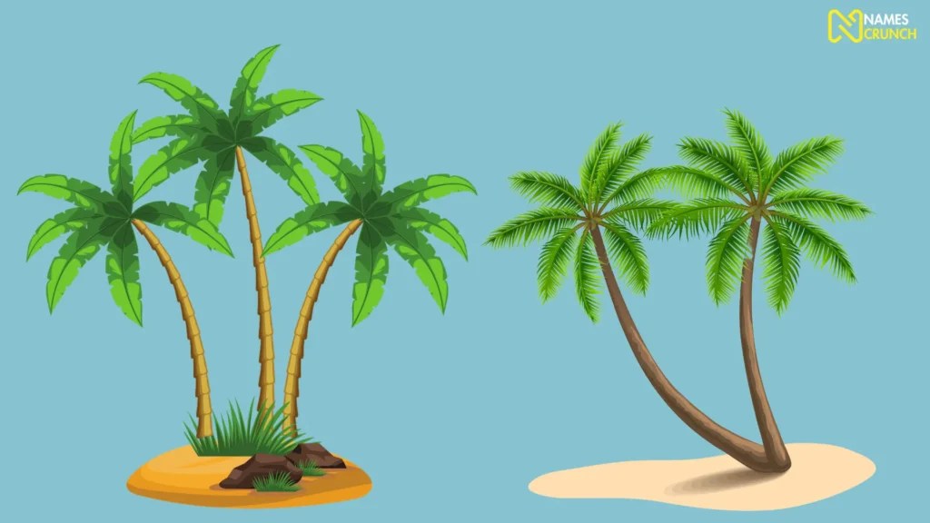 Funny Names for Trees [350+ Creative Ideas] Names Crunch