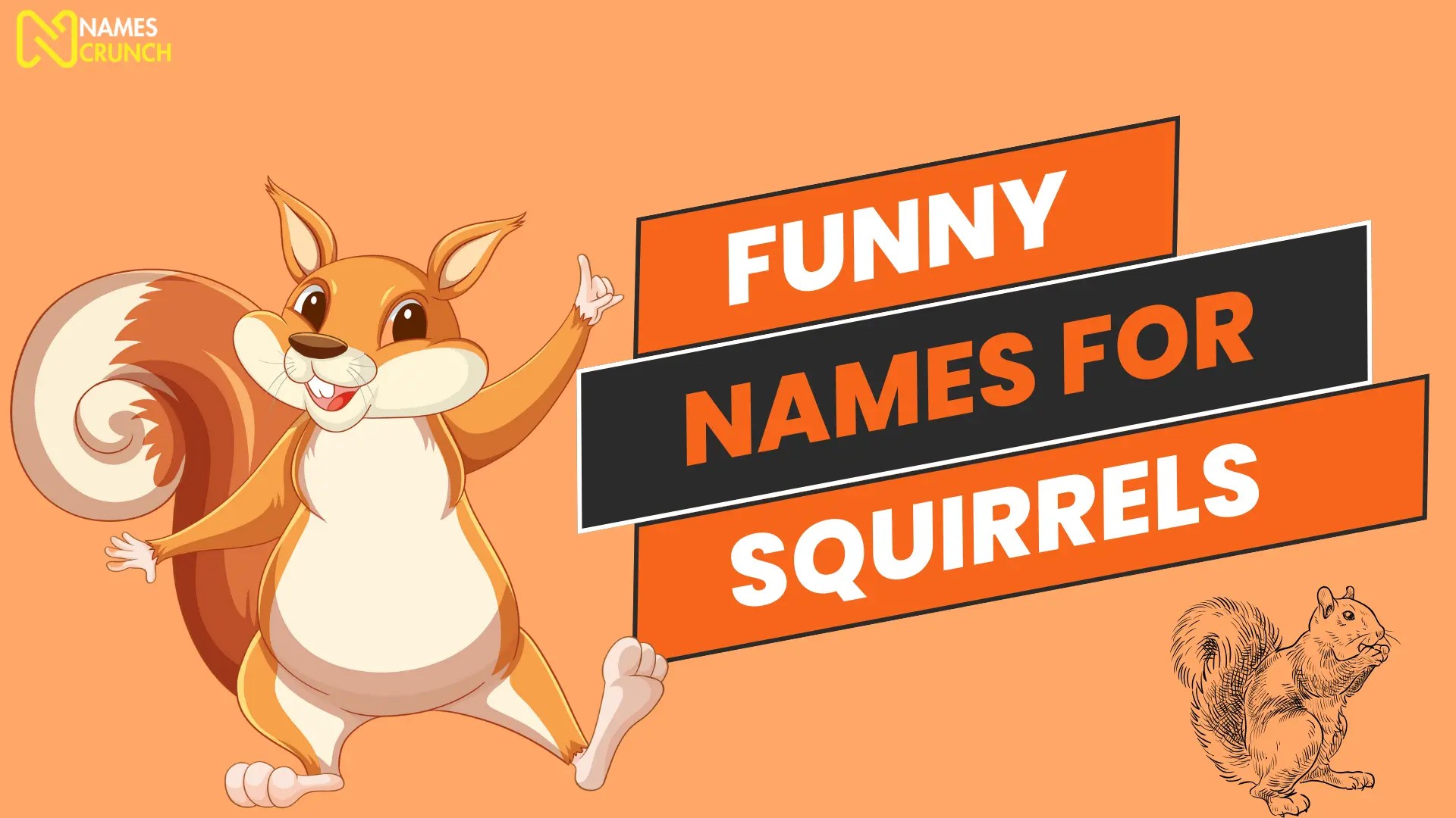 360+ Funny Names for Squirrels [Clever Ideas] Names Crunch