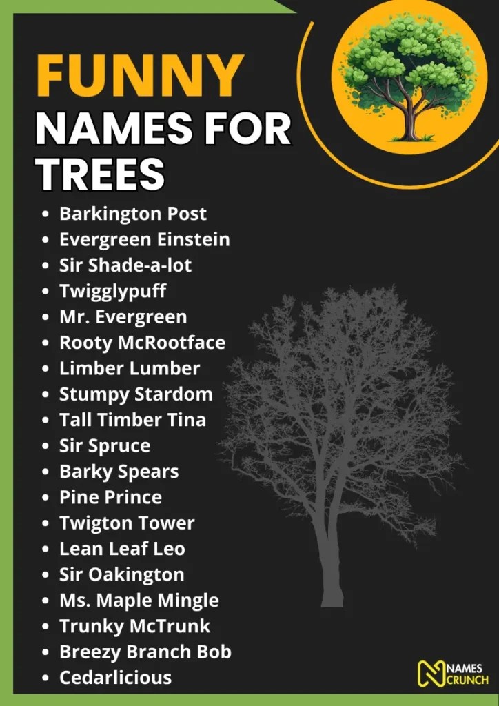 Funny Names for Trees [350+ Creative Ideas] Names Crunch