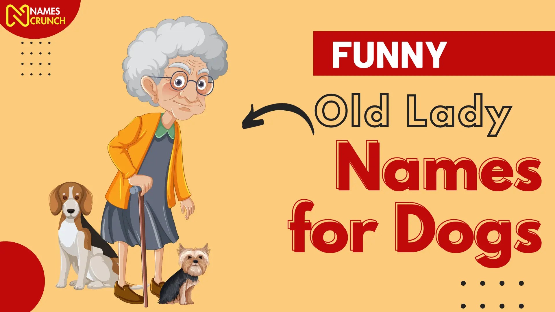 Old Lady Names for Dogs [300+ Funny & Cute Ideas] Names Crunch