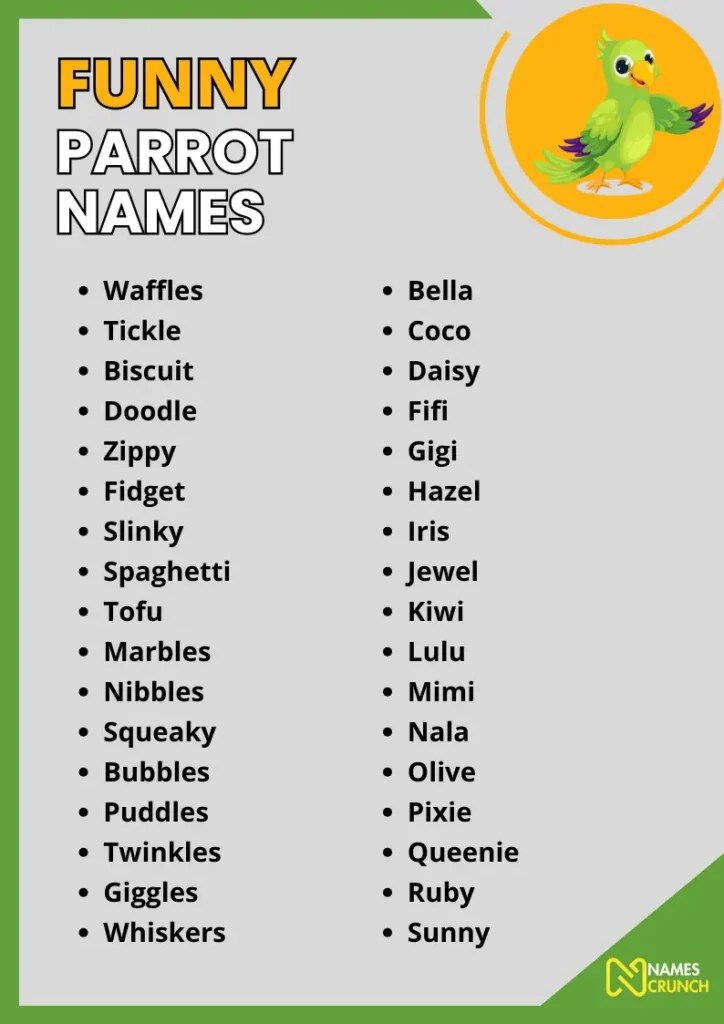 450+ Funny Parrot Names [Best Ideas] Names Crunch