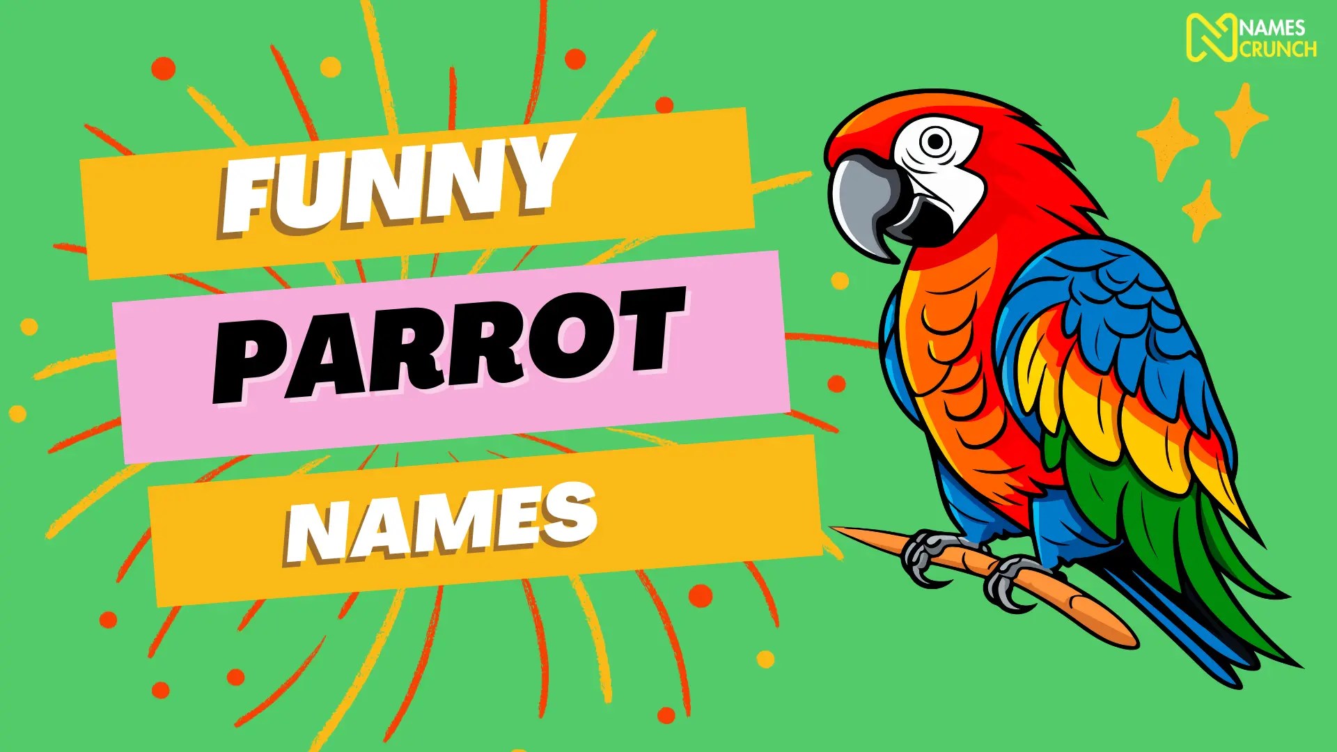 450+ Funny Parrot Names [Best Ideas] Names Crunch