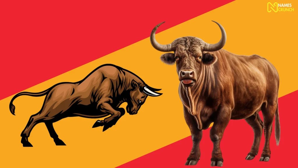 425+ Bull Names [Funny, Strong & Spanish] Names Crunch