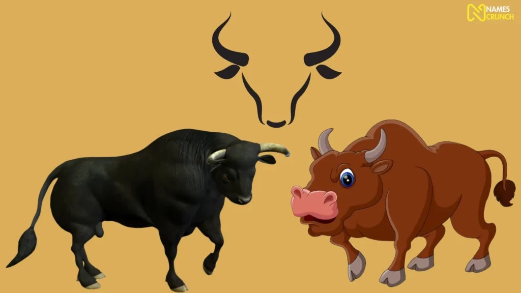 425+ Bull Names [Funny, Strong & Spanish] Names Crunch