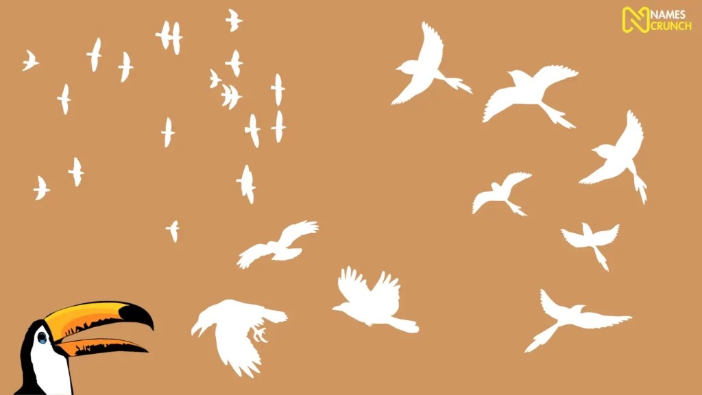 Funny Names for Groups of Birds [Unique Ideas] Names Crunch