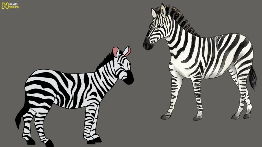 Funny Zebra Names [450+ Cool Ideas] Names Crunch
