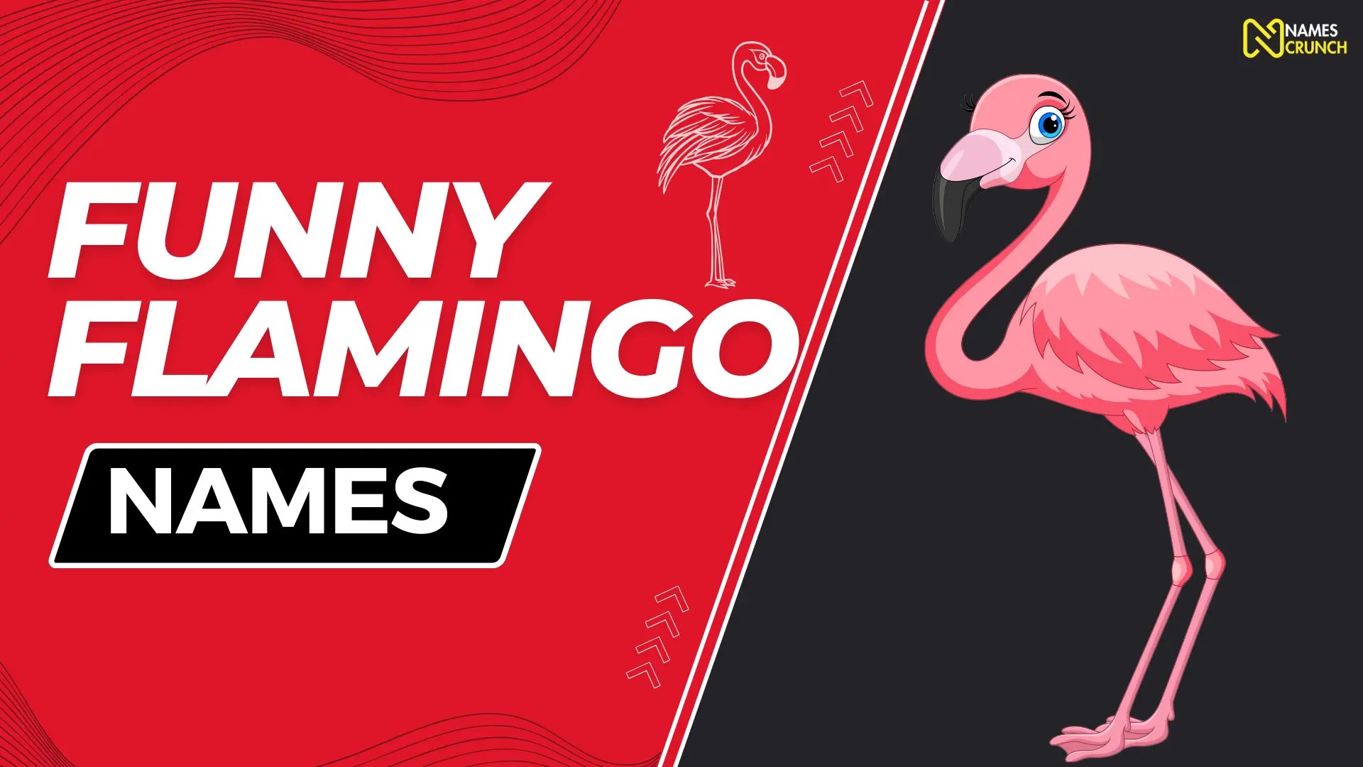 400+ Funny Flamingo Names Names Crunch