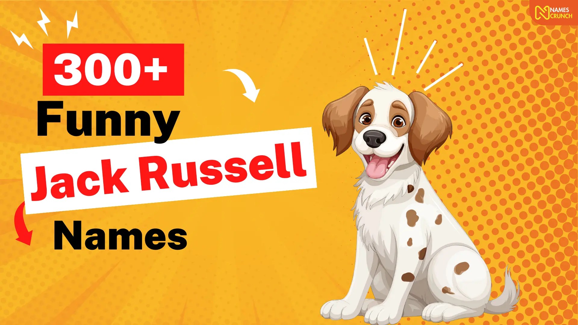 350+ Funny Jack Russell Names Names Crunch