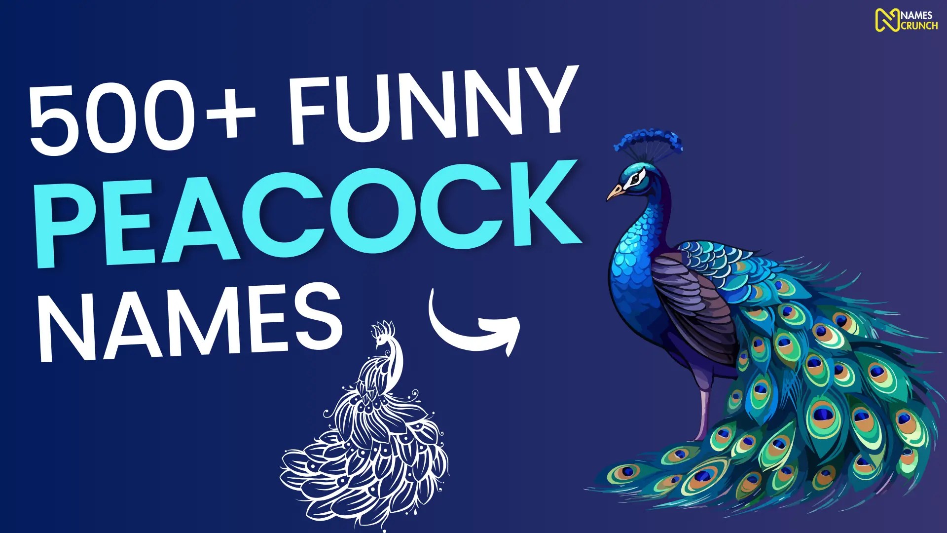 Funny Peacock Names [500+ Ideas] Names Crunch