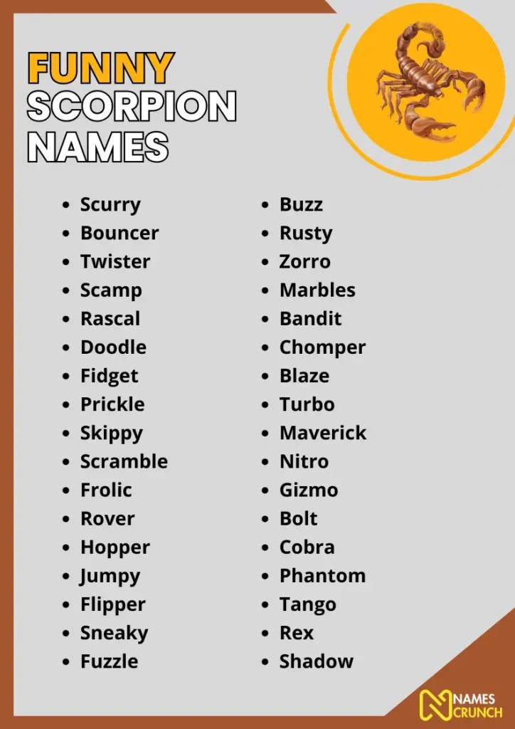 420+ Cool & Funny Scorpion Names Names Crunch