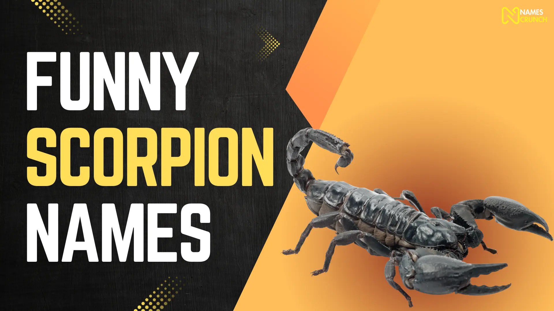 420+ Cool & Funny Scorpion Names Names Crunch