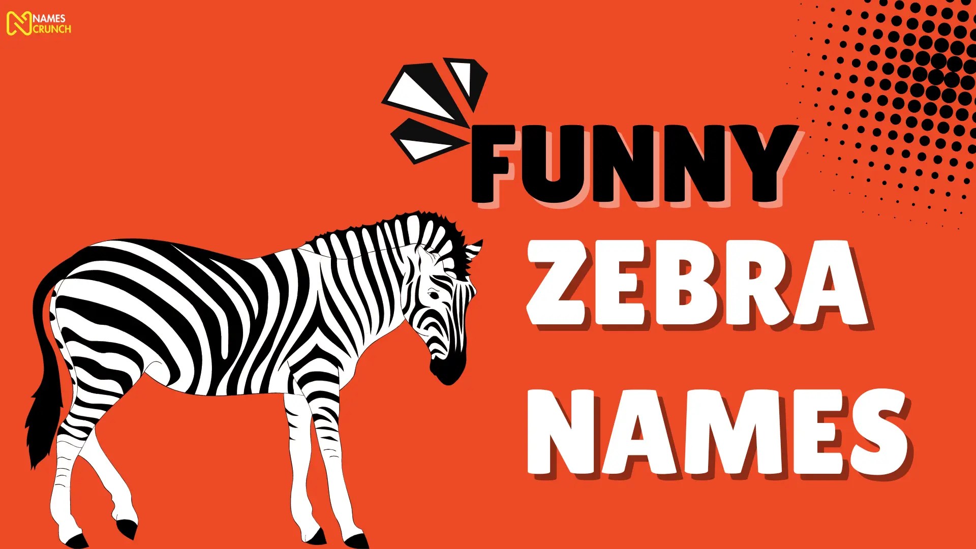 Funny Zebra Names [450+ Cool Ideas] Names Crunch