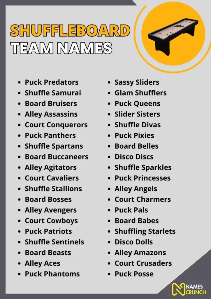 300+ Best Shuffleboard Team Names Names Crunch