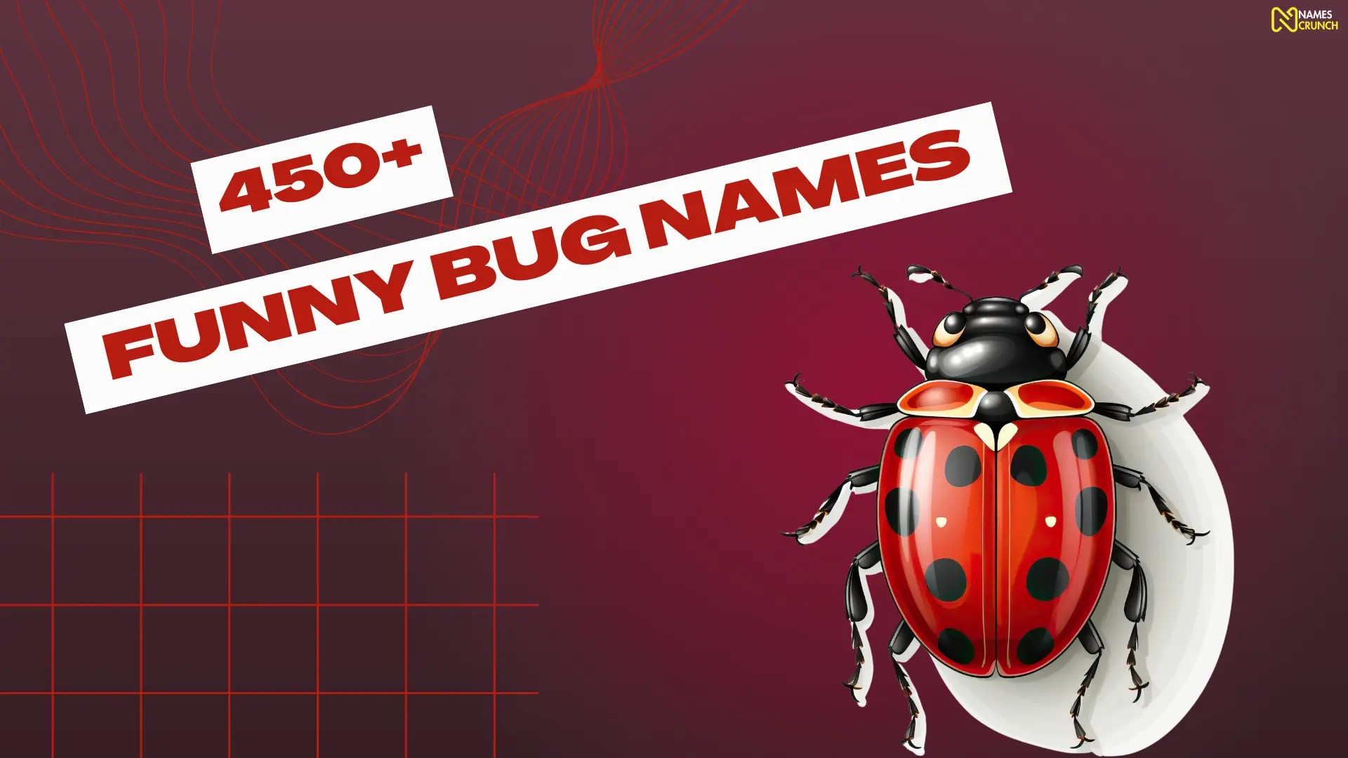 550+ Funny Bug Names [Cool Ideas] Names Crunch