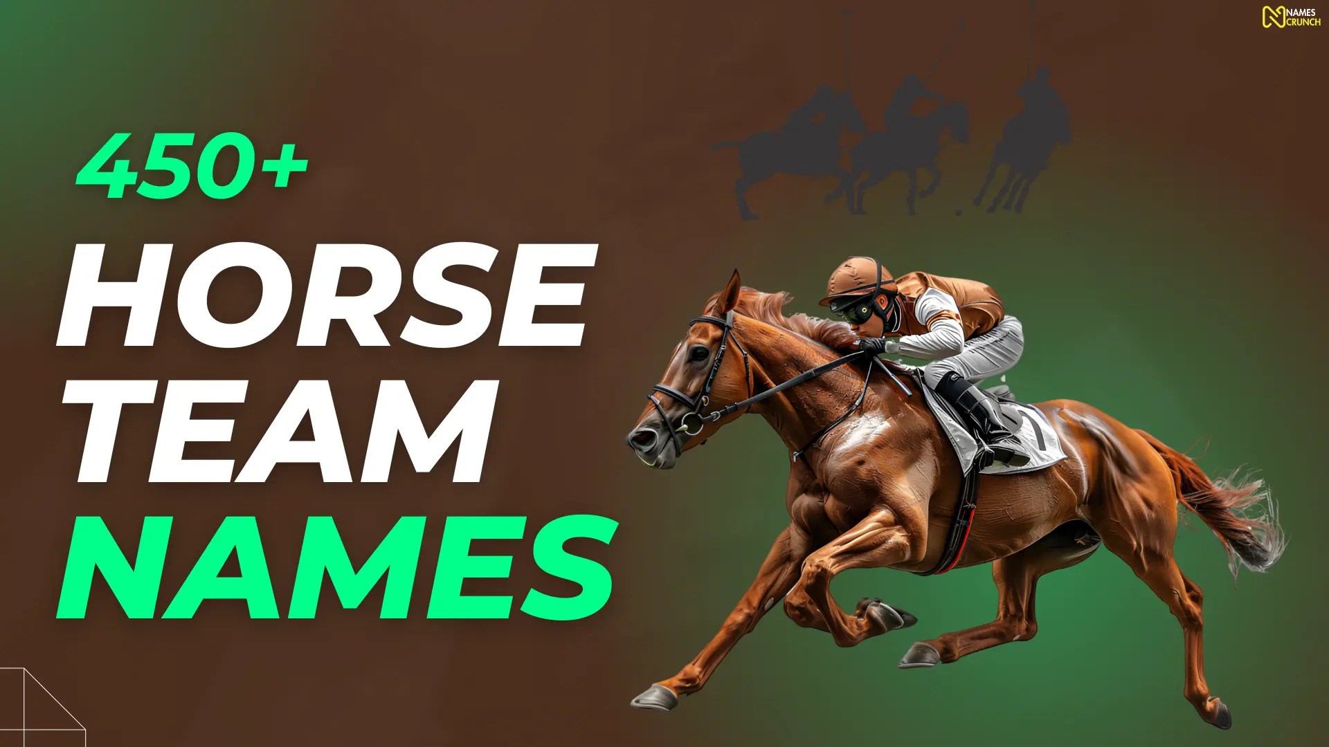 550+ Horse Team Names [Cool, Funny & Unique] Names Crunch