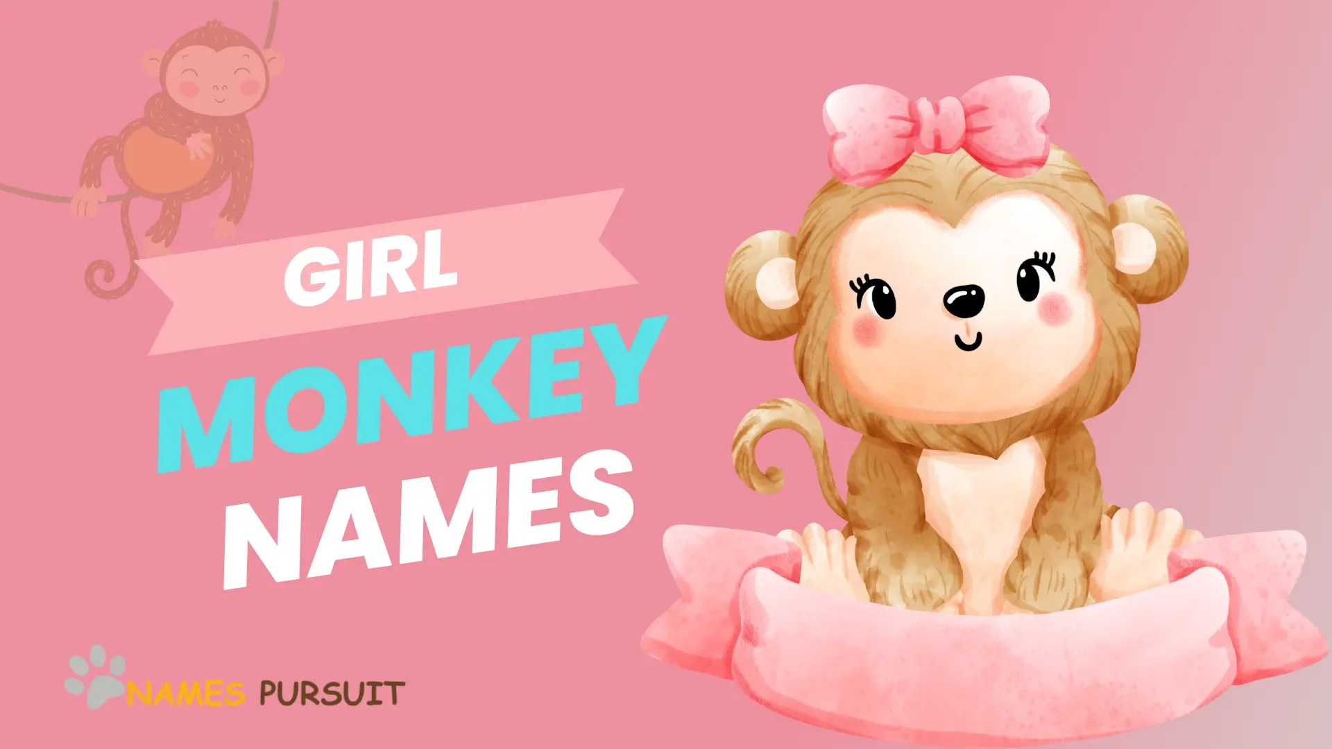 260+ Girl Monkey Names (Funny, Famous, and Unique)