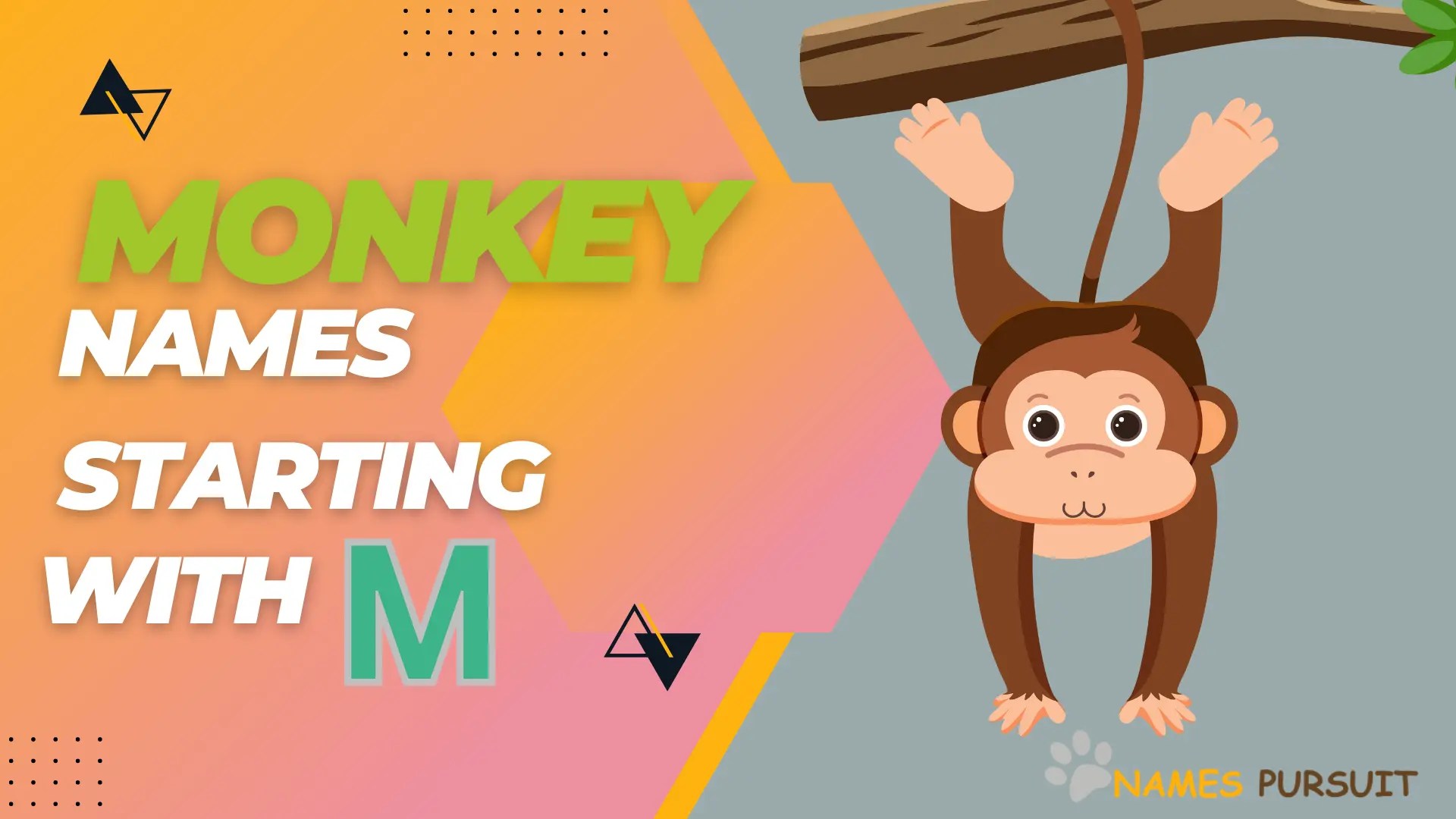 Best Monkey Names Starting with 'M'