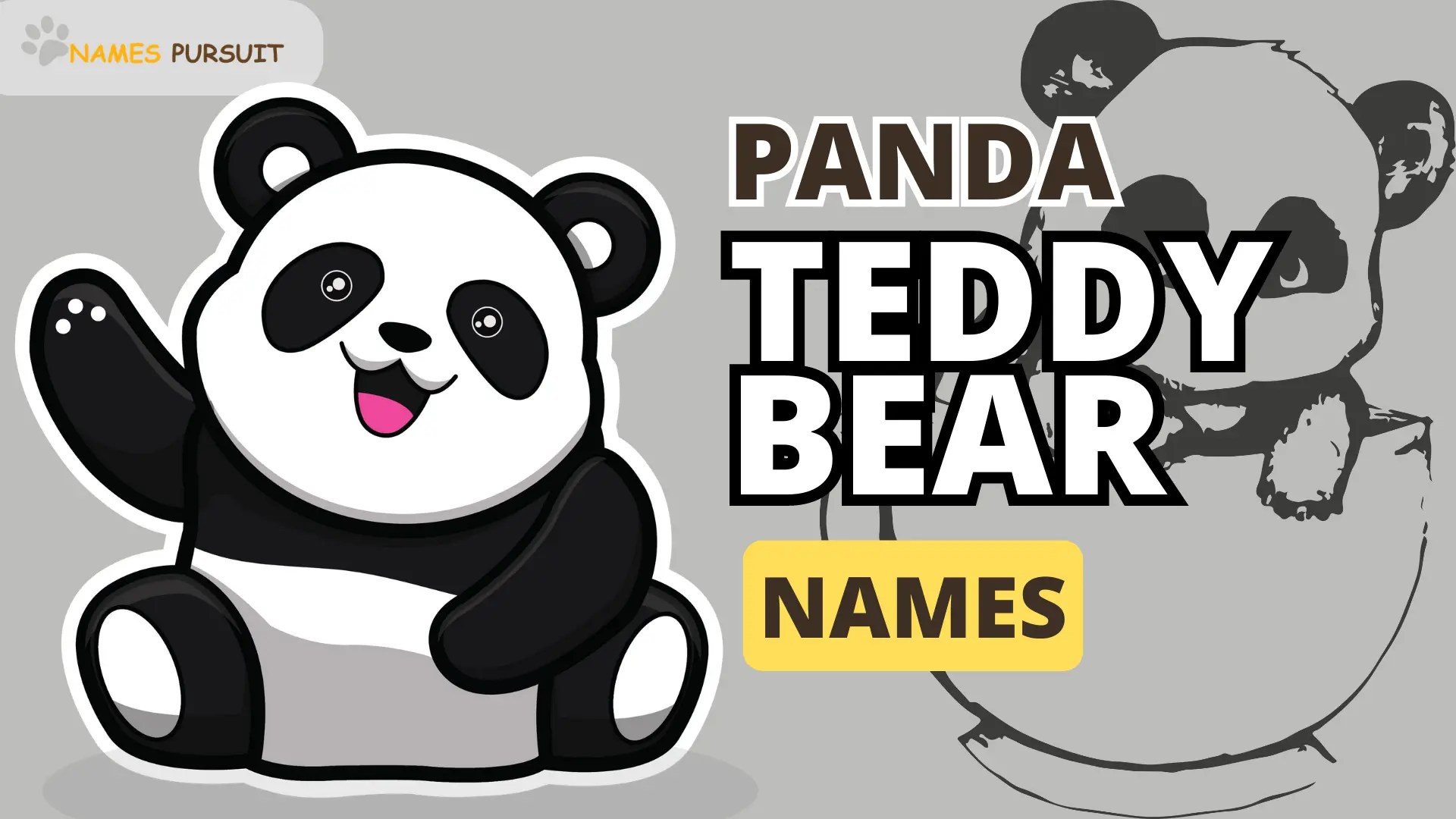 Panda Teddy Bear Names A Treasure of Cuddliness!