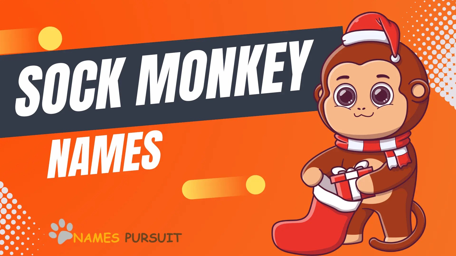 Best Sock Monkey Names Ideas