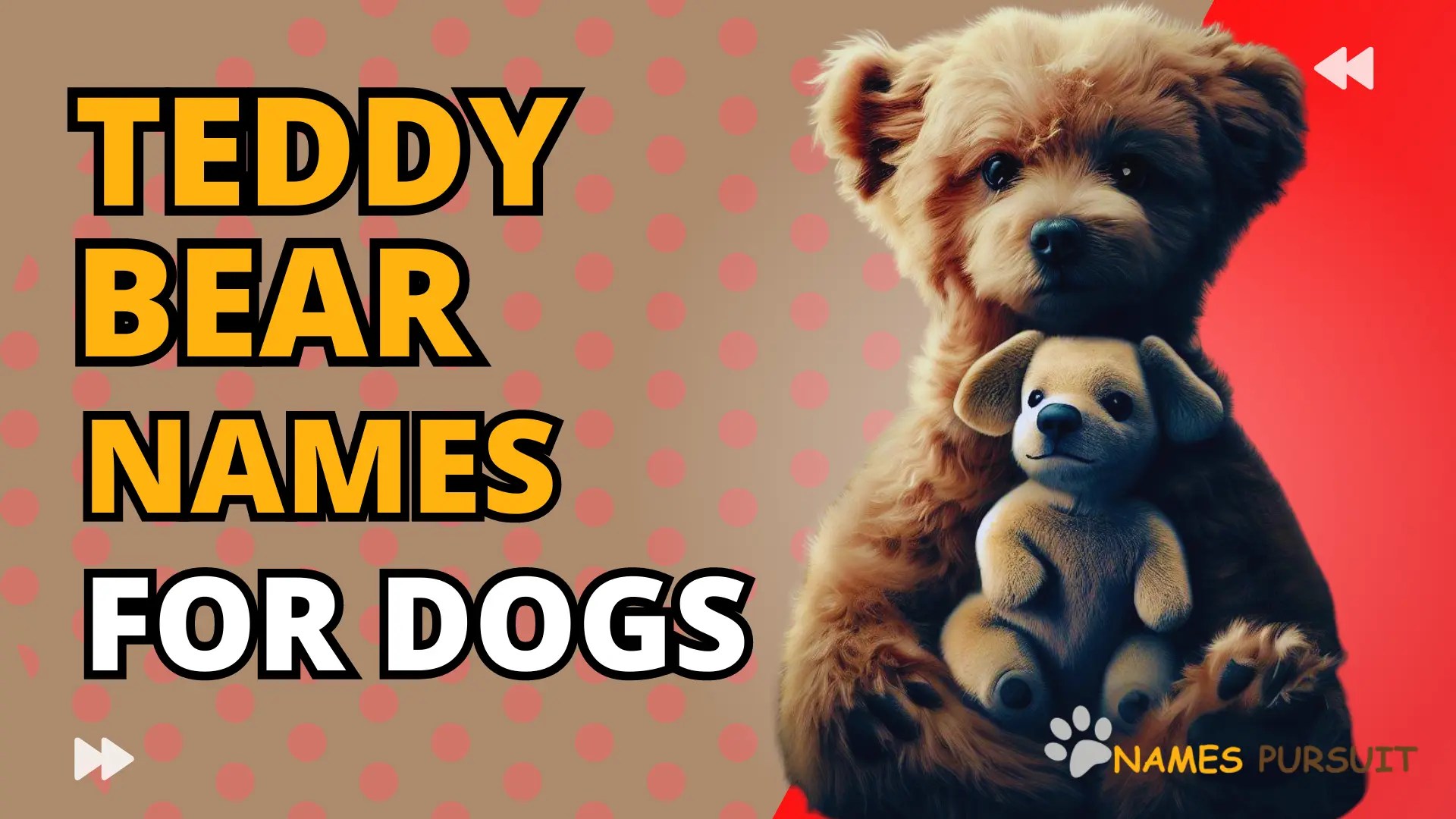 200+ Teddy Bear Names for Dogs [AZ List]