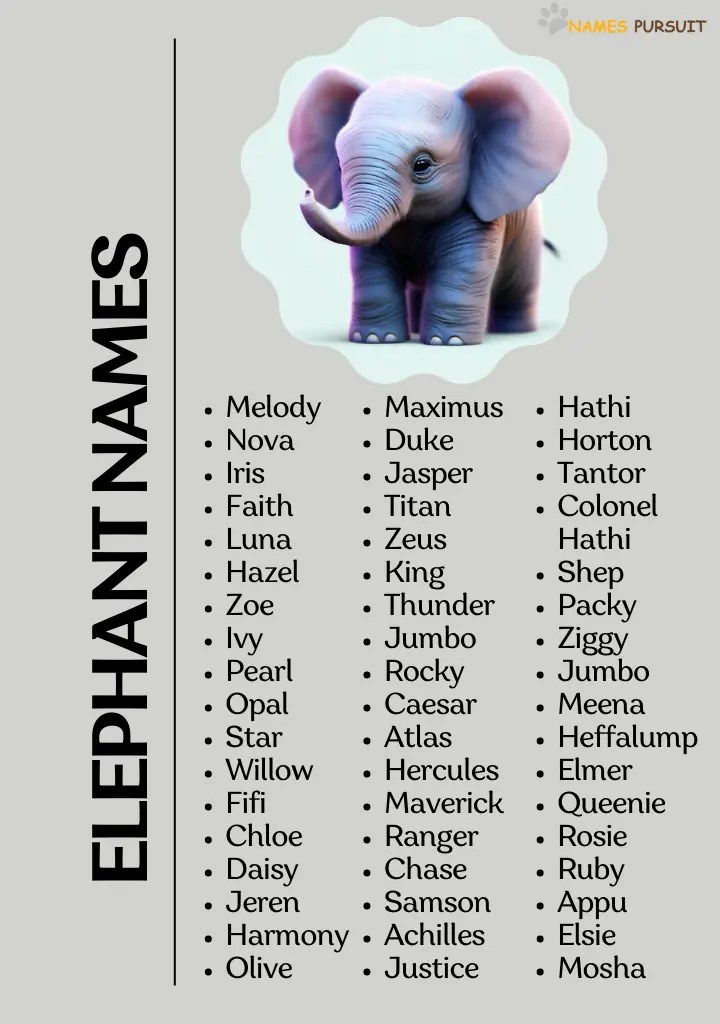 350+ Elephant Names (Cute, Famous & Funny)